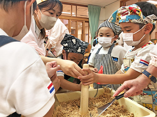 5歳児味噌造り